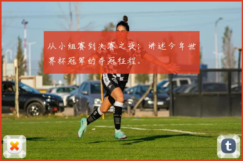 从小组赛到决赛之夜:讲述今年世界杯冠军的夺冠征程。